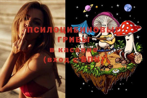 стаф Мурманск