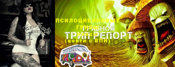 синтетический гашиш Няндома