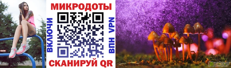 Галлюциногенные грибы прущие грибы  Богучар 